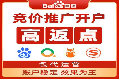百度竞价推广运营策略：成功案例解析